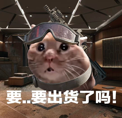 要...要出货了吗！