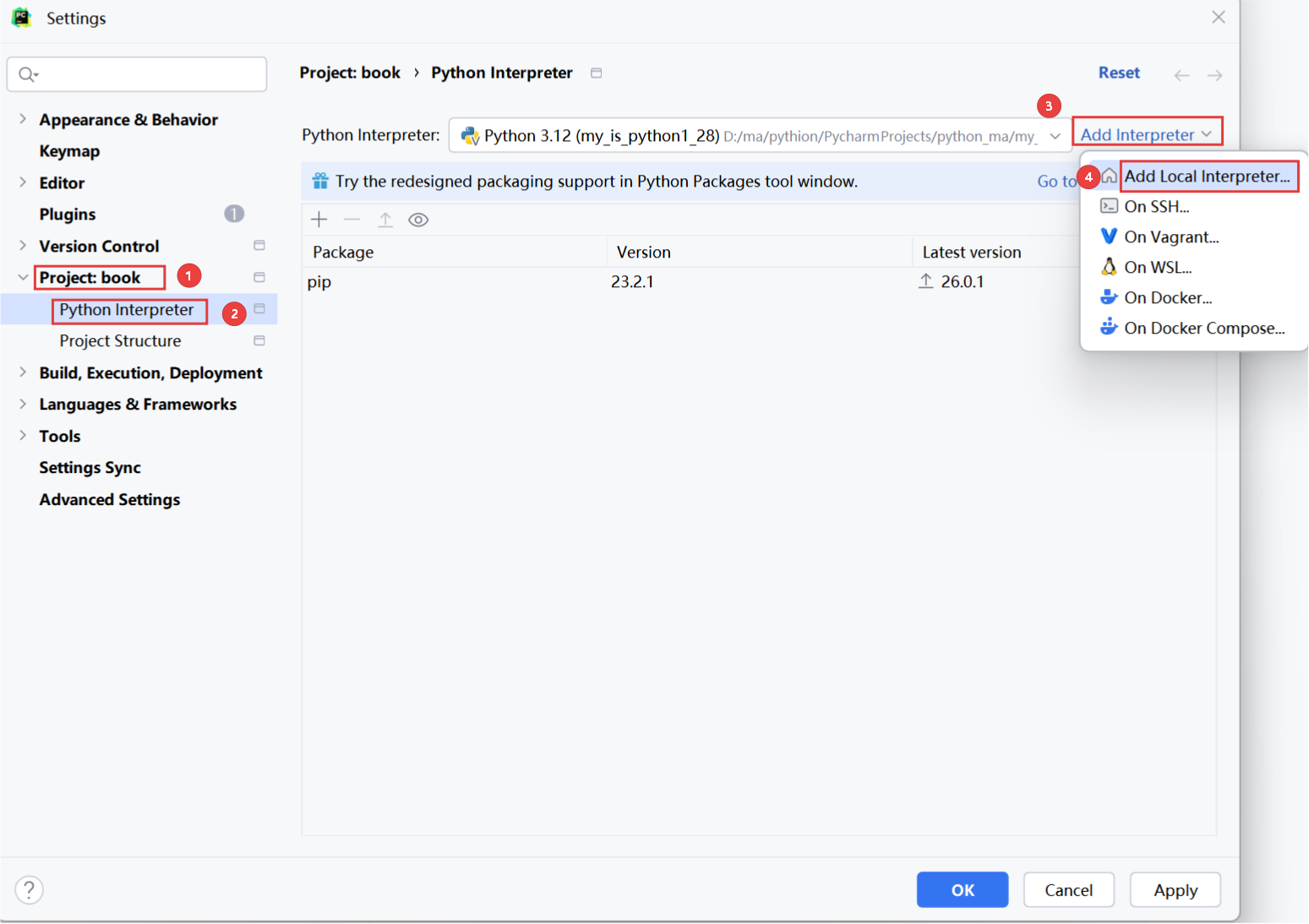 python-pycharm-6-ollama